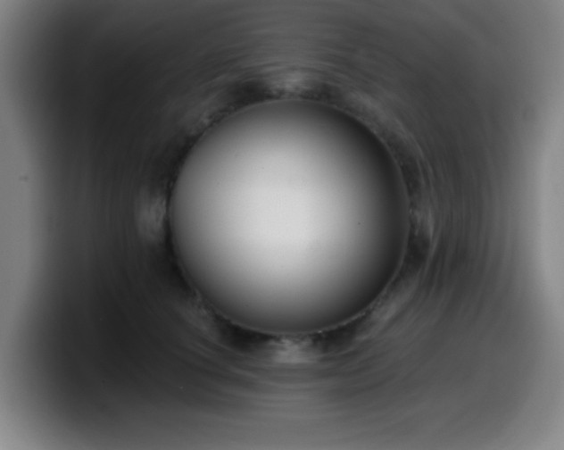 X0000099950660200805301237
