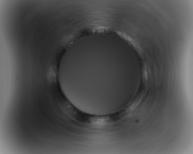 X0000099950661200805301237