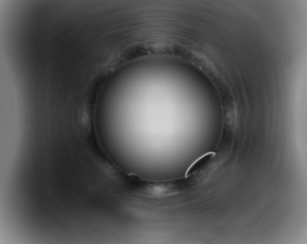 X0000099950662200805301237