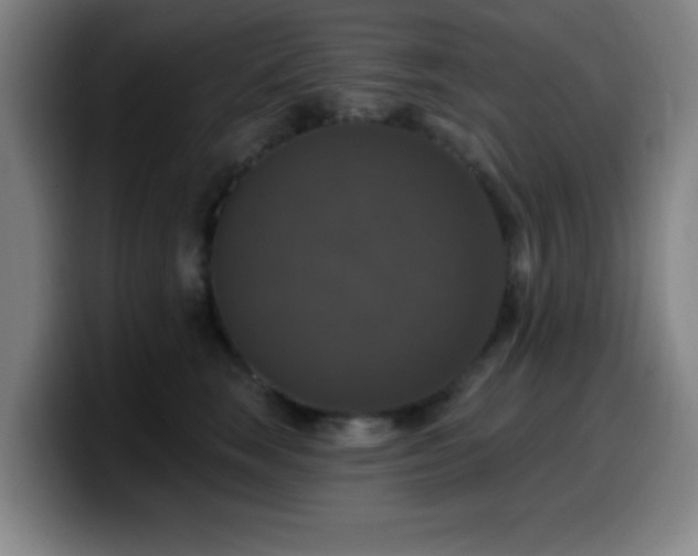 X0000099950663200805301237