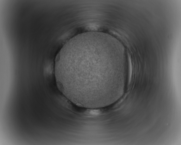 X0000099950665200805301237