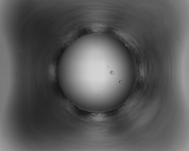 X0000099950667200805301237