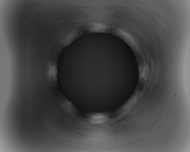 X0000099950669200805301237