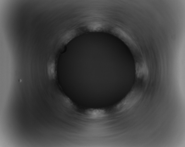X0000099950670200805301237