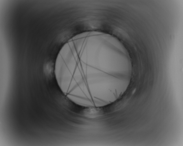 X0000099950672200805301237