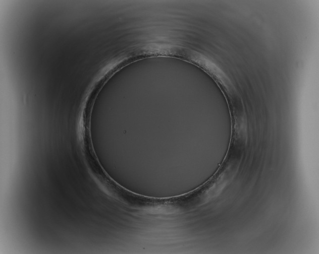 X0000099950674200805301237