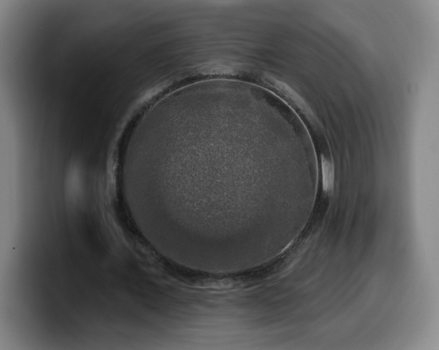 X0000099950675200805301237