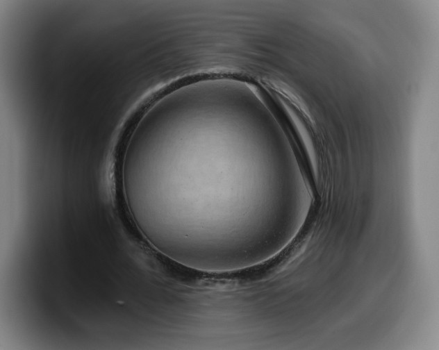 X0000099950676200805301237