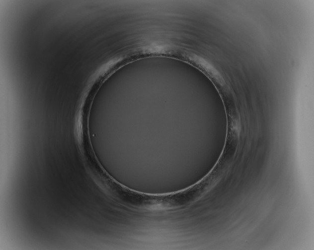 X0000099950678200805301237
