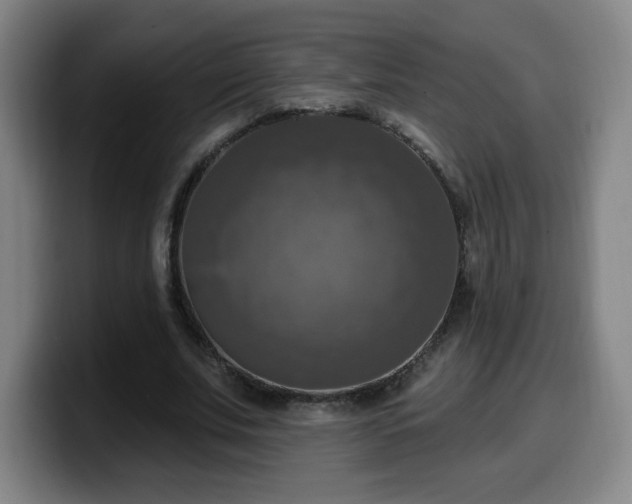 X0000099950679200805301237