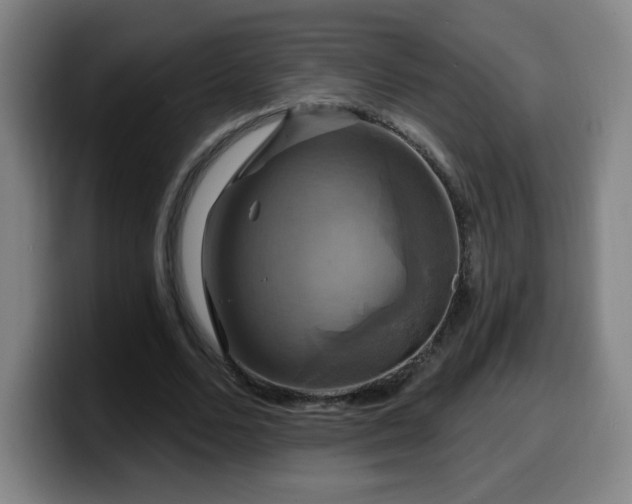 X0000099950680200805301237