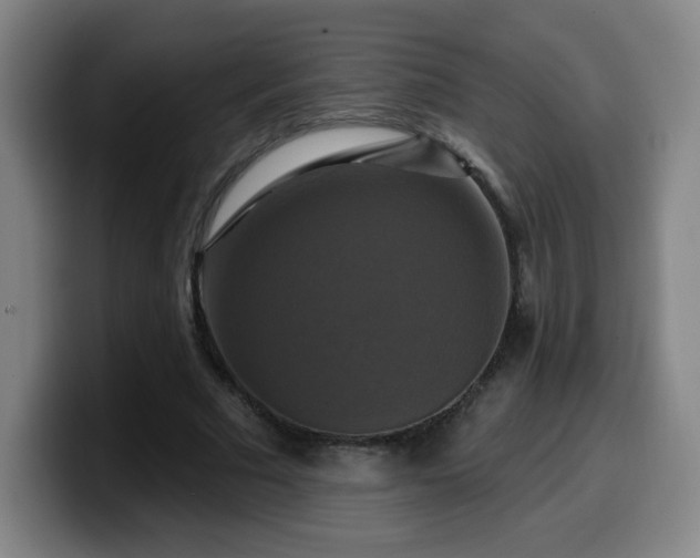 X0000099950681200805301237