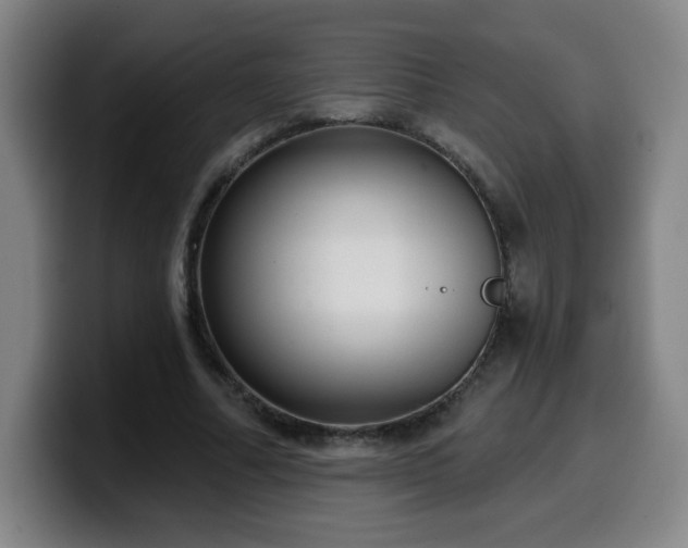 X0000099950682200805301236