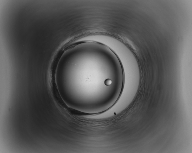 X0000099950684200805301236