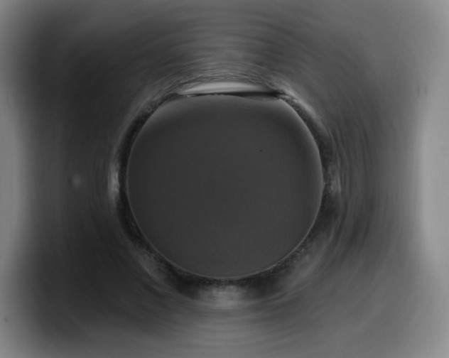 X0000099950685200805301236