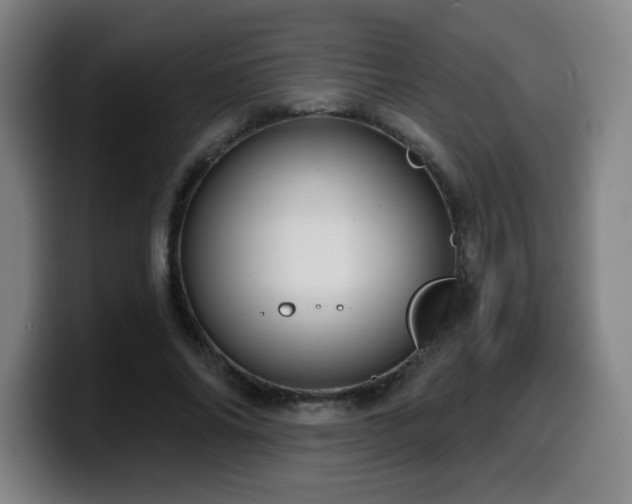 X0000099950686200805301236