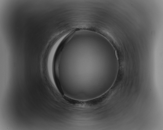 X0000099950688200805301236