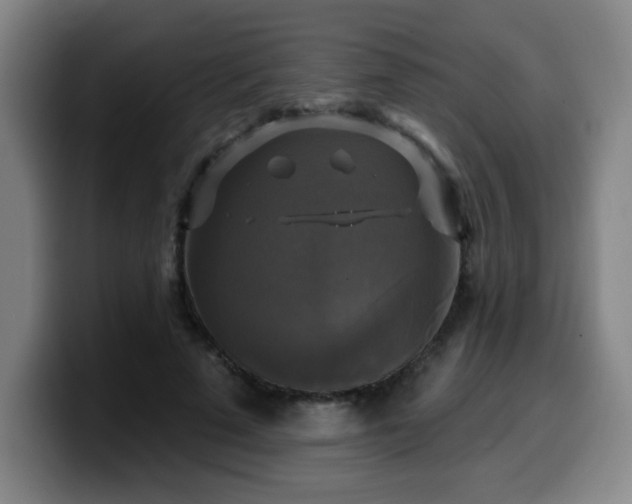 X0000099950689200805301236