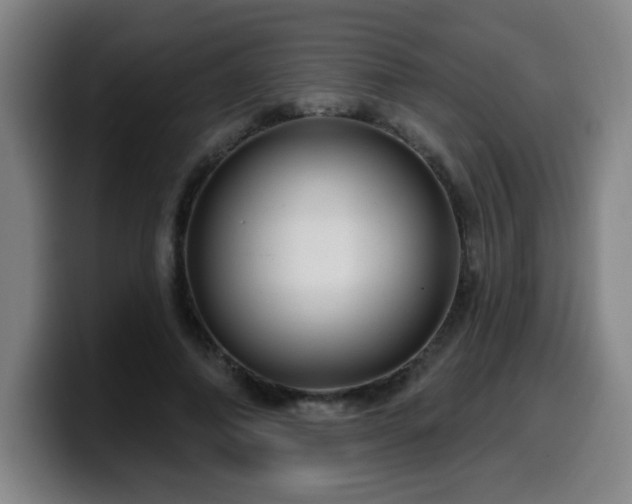 X0000099950690200805301236