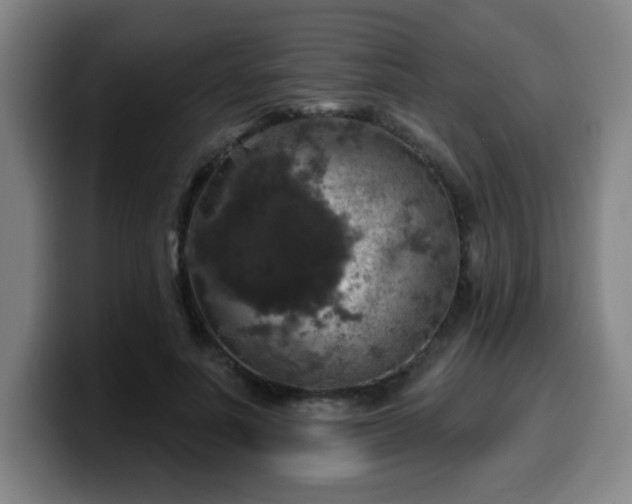 X0000099950691200805301236