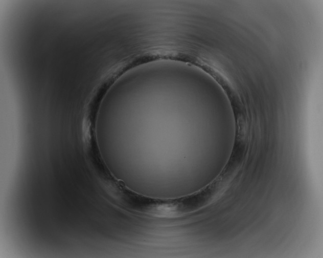 X0000099950692200805301236