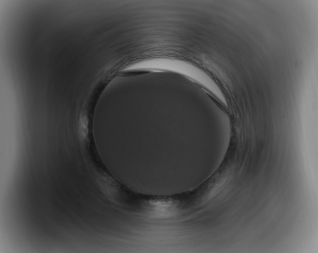X0000099950693200805301236