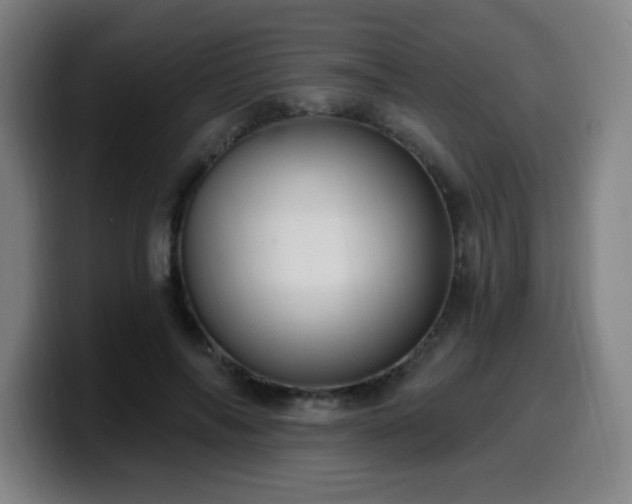 X0000099950694200805301236