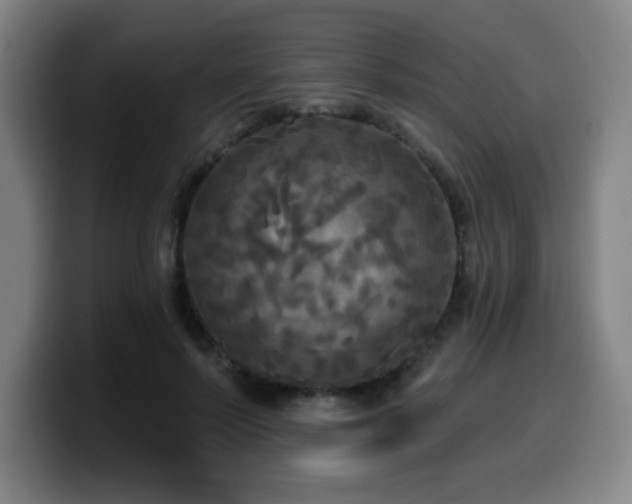 X0000099950695200805301236
