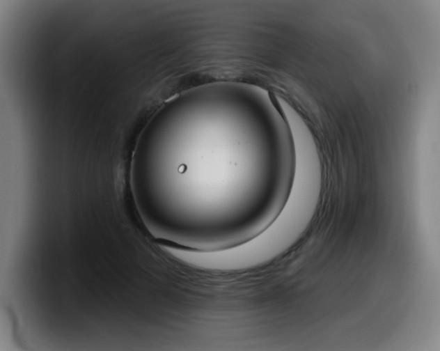 X0000099950697200805301236