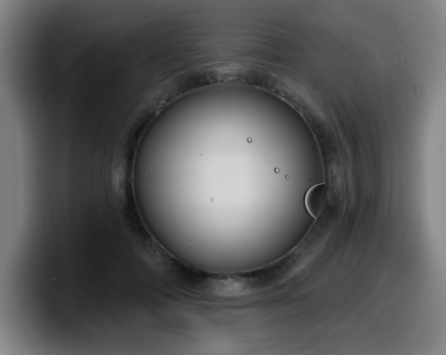 X0000099950698200805301236