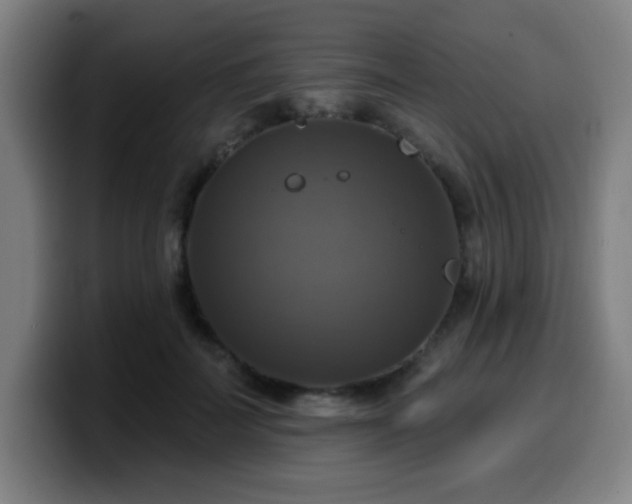 X0000099950699200805301236