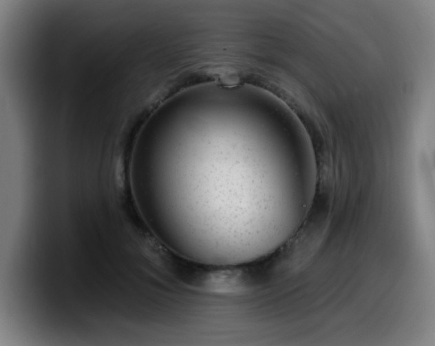 X0000099950700200805301236