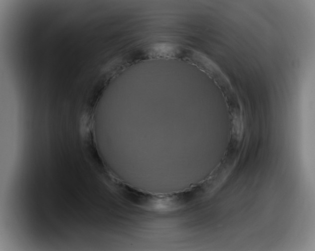 X0000099950701200805301236