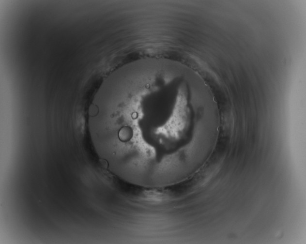 X0000099950703200805301236