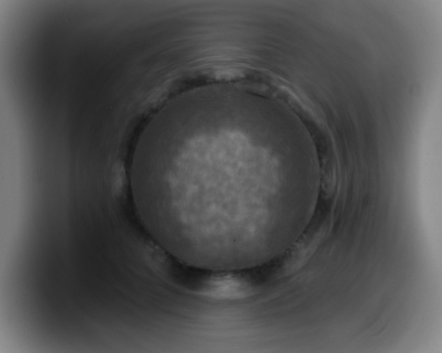 X0000099950704200805301236