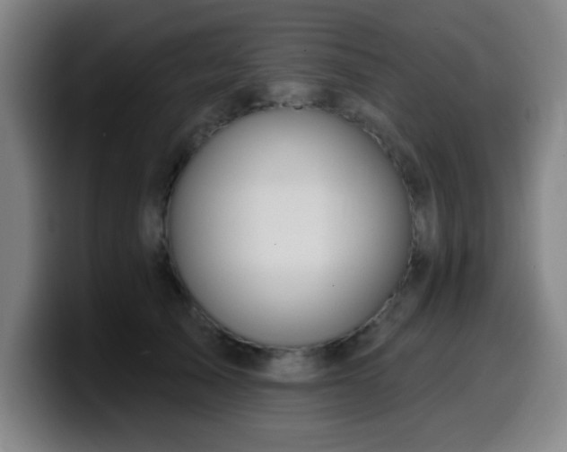 X0000099950705200805301236