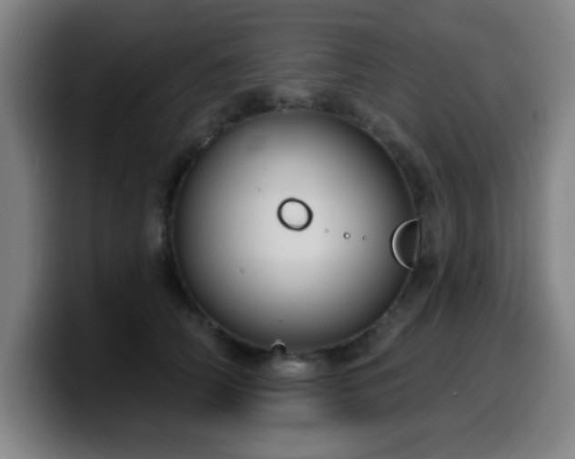X0000099950706200805301236