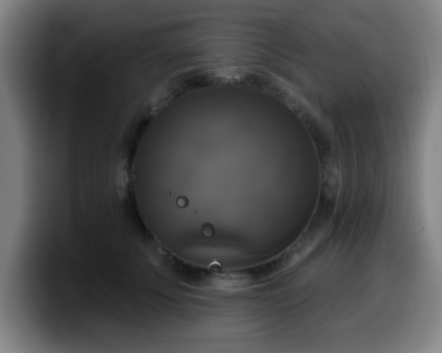 X0000099950707200805301236