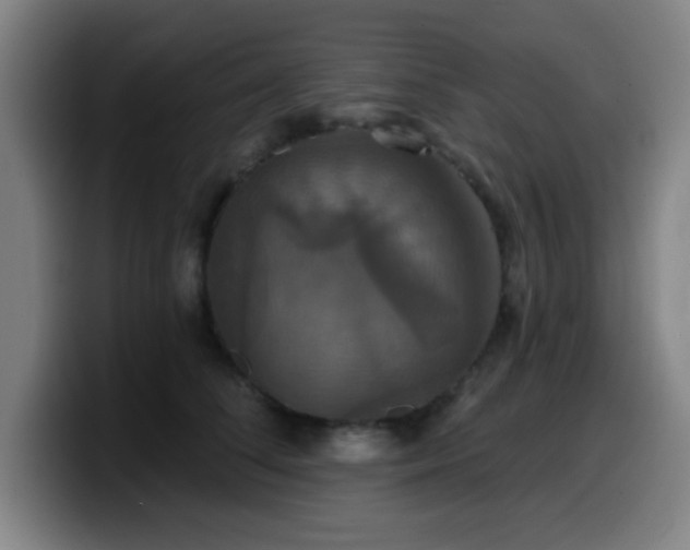 X0000099950708200805301236
