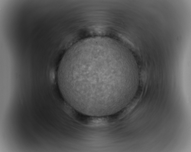 X0000099950709200805301236