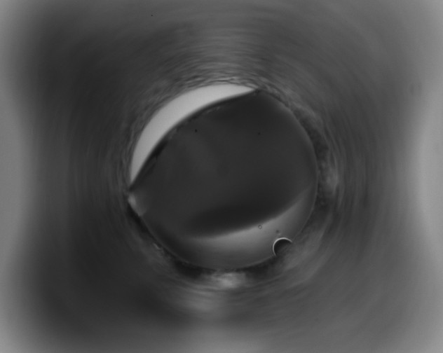 X0000099950711200805301236