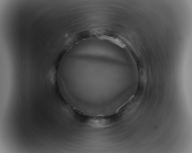 X0000099950712200805301236