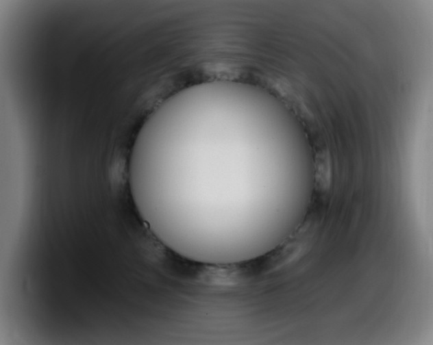 X0000099950713200805301236
