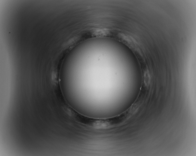 X0000099950714200805301236