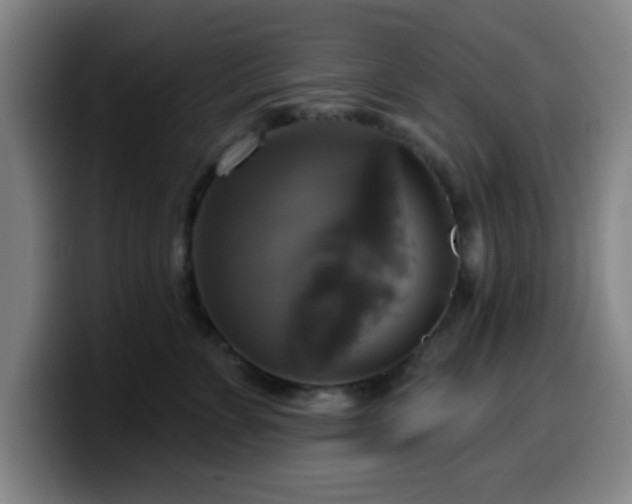 X0000099950715200805301236