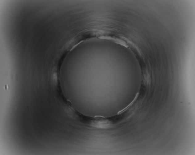 X0000099950716200805301236