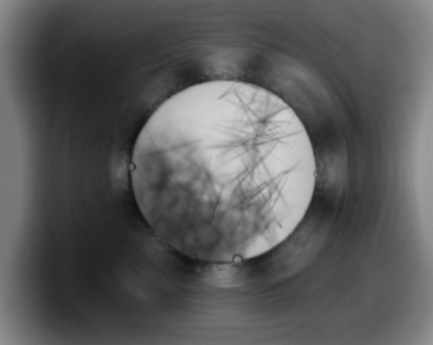 X0000099950717200805301236