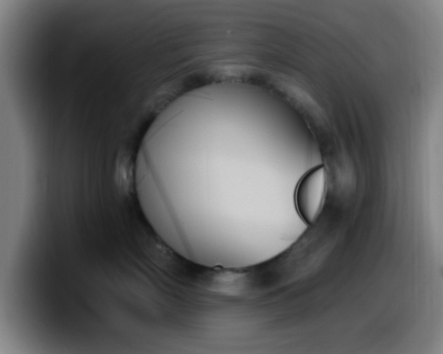 X0000099950718200805301236