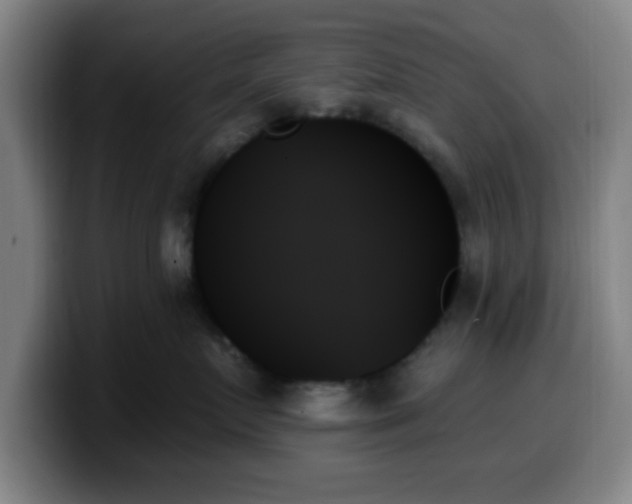 X0000099950719200805301236