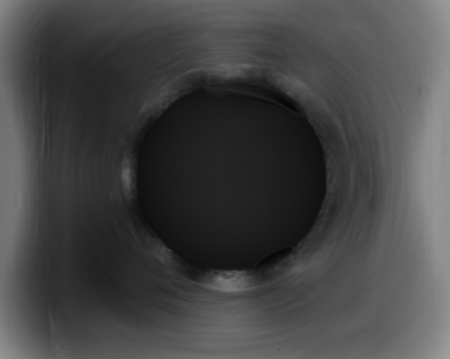 X0000099950720200805301236
